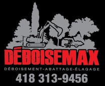 logo deboisemax